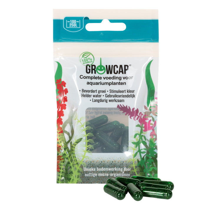 Growcap Capsules