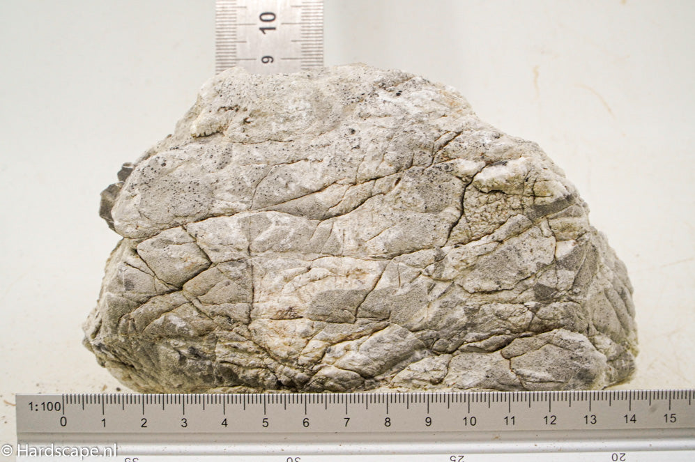 Elephant Skin Rock L100 - Hardscape.nl