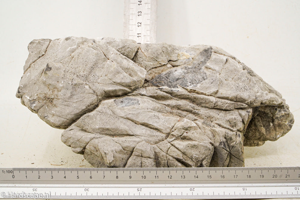 Elephant Skin Rock L101 - Hardscape.nl