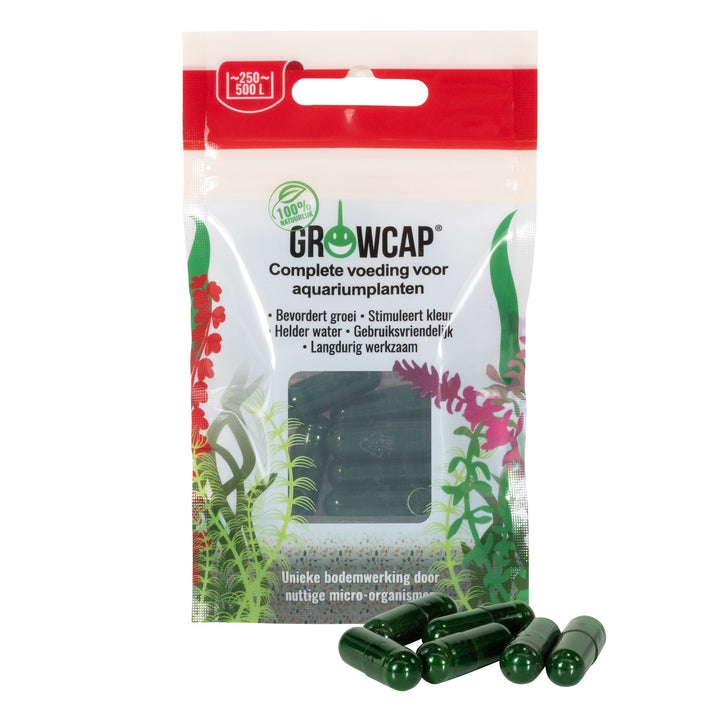 Growcap Capsules