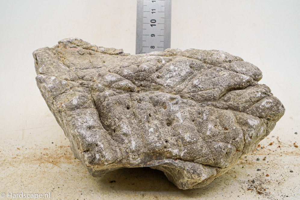 Elephant Skin Rock XL123 - Hardscape.nl