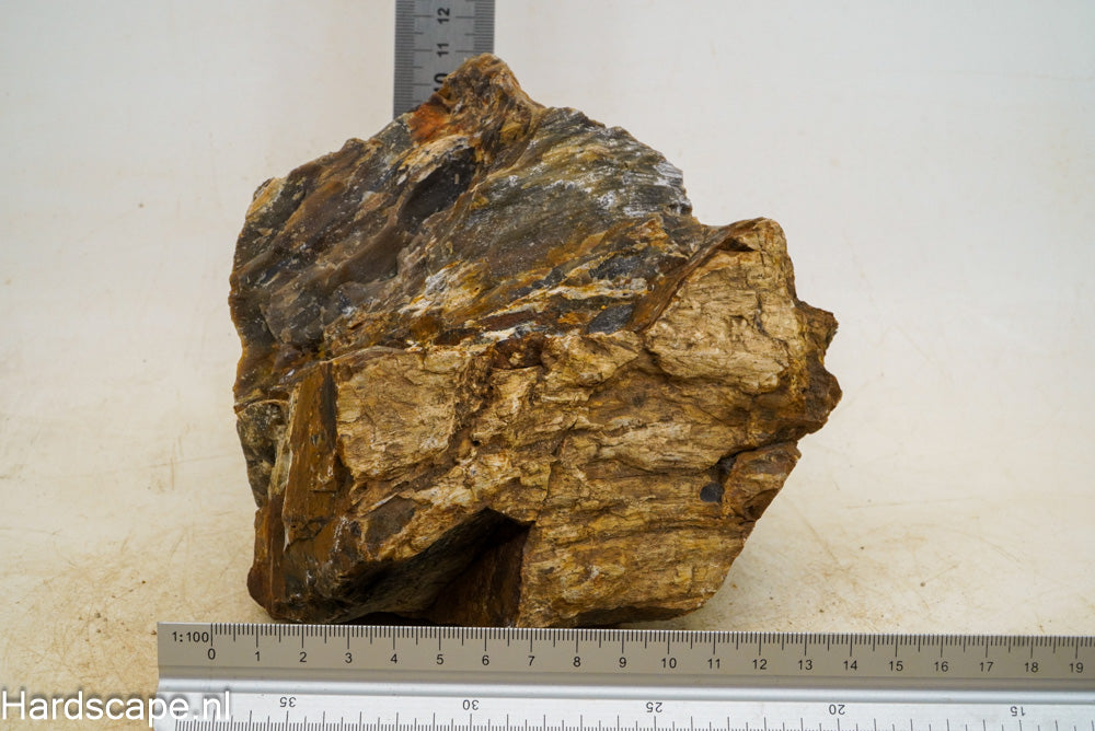 Petrified Wood XL34 - Hardscape.nl