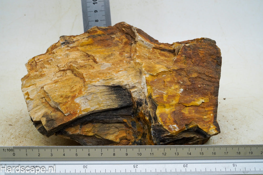 Petrified Wood XL41 - Hardscape.nl