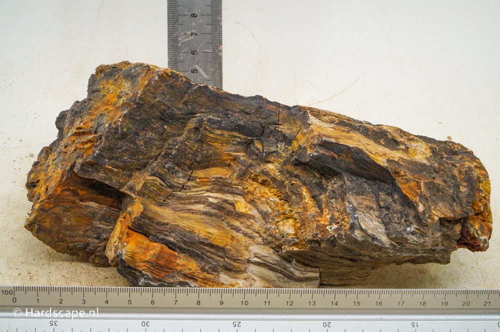 Petrified Wood XL65 - Hardscape.nl