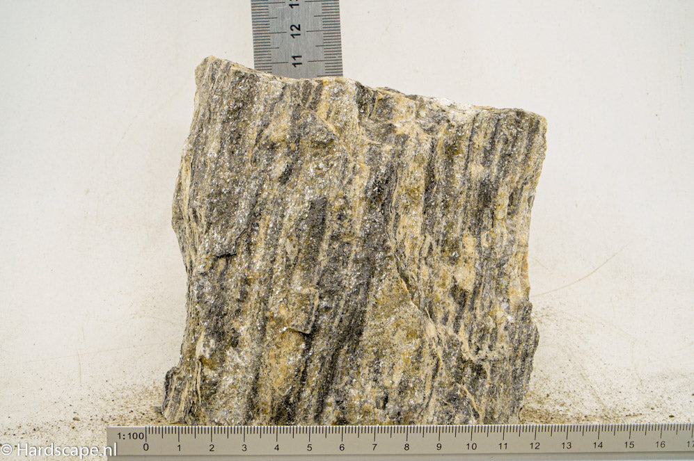 Glimmer Wood Rock L51 - Hardscape.nl