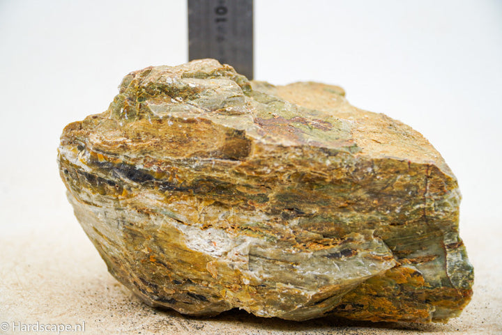 Petrified Wood L53 - Hardscape.nl