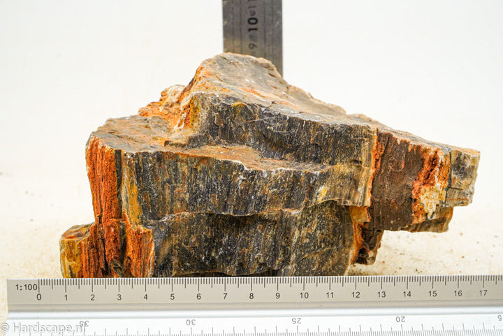 Petrified Wood L66 - Hardscape.nl