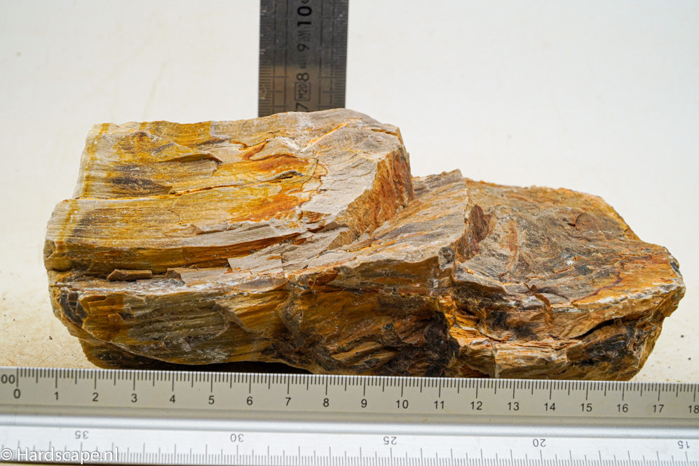 Petrified Wood L80 - Hardscape.nl