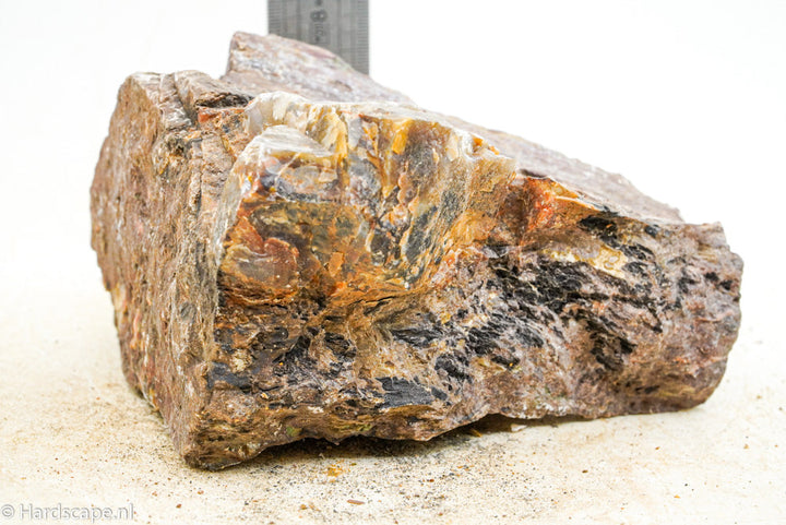 Petrified Wood L86 - Hardscape.nl