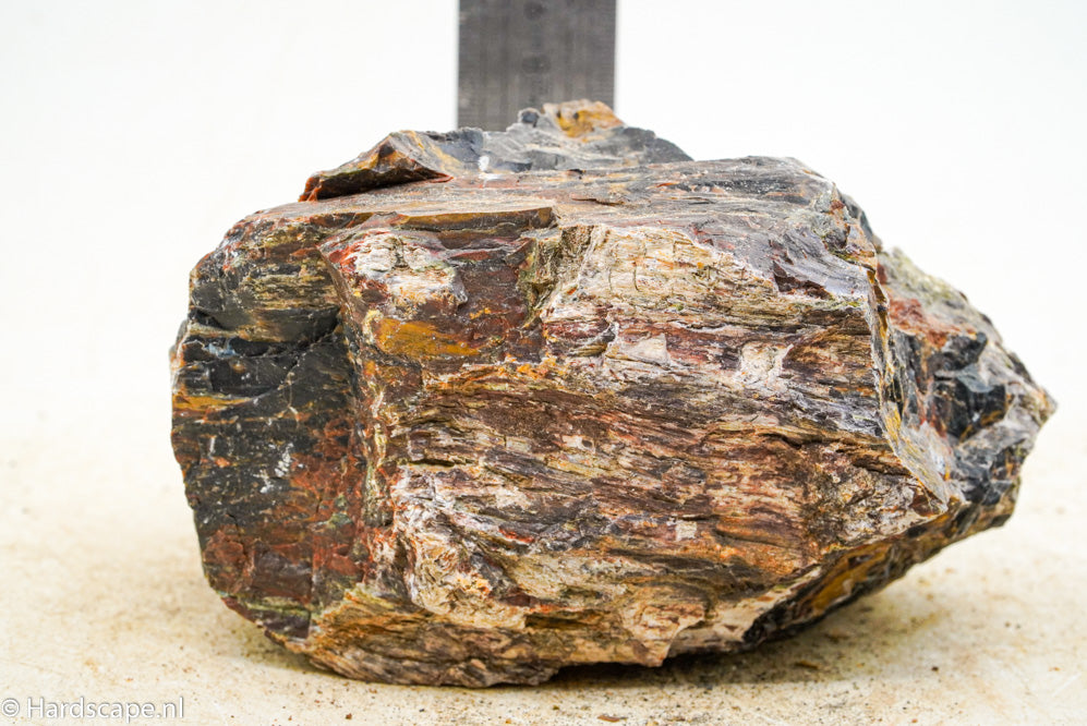 Petrified Wood L87 - Hardscape.nl