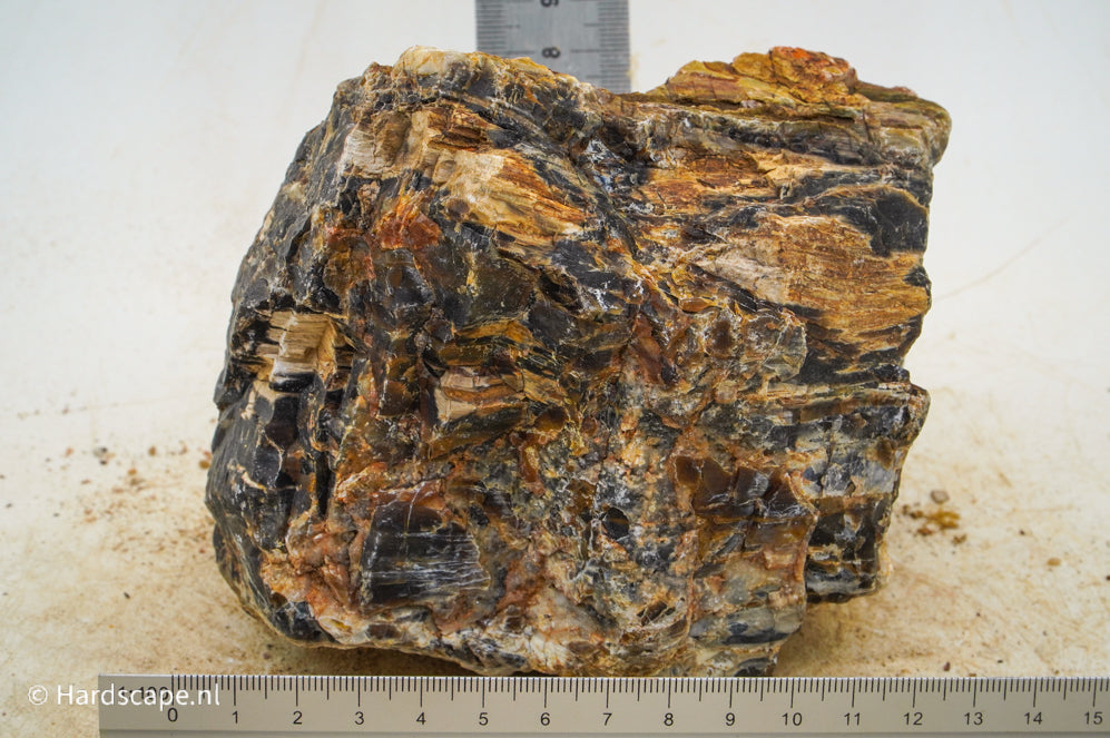 Petrified Wood L92 - Hardscape.nl