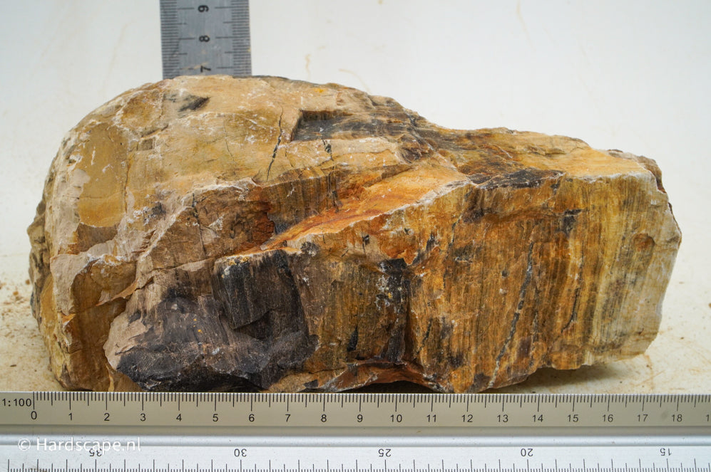 Petrified Wood L93 - Hardscape.nl