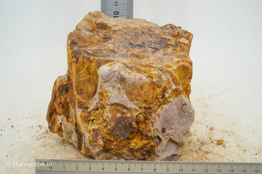 Petrified Wood L96 - Hardscape.nl