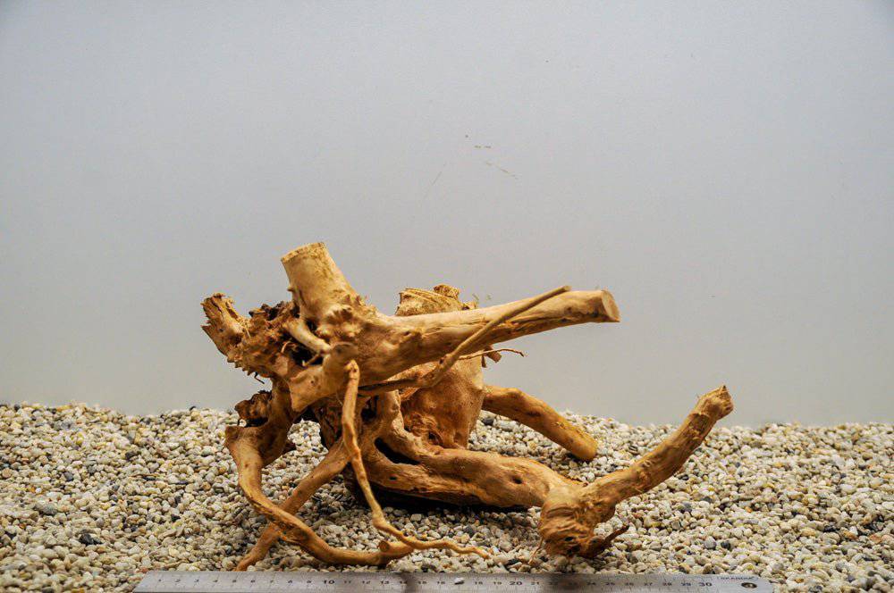 Spiderwood L56 - Hardscape.nl