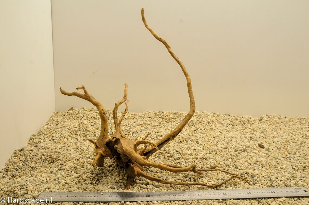 Spiderwood L70 - Hardscape.nl