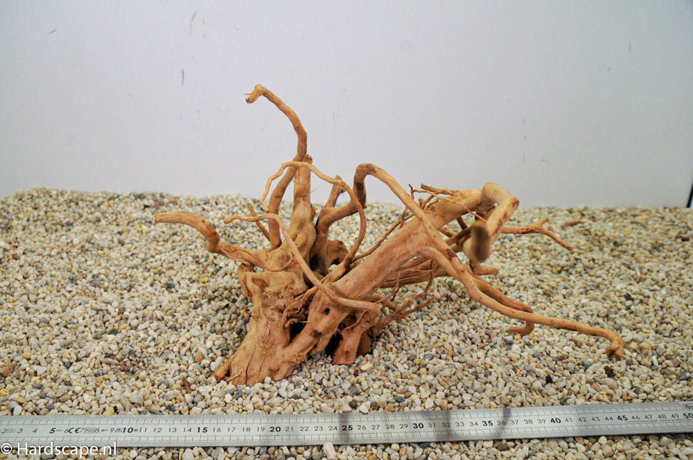 Spiderwood L93 - Hardscape.nl