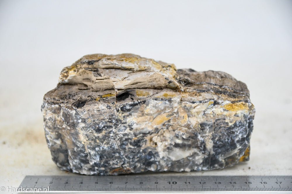 Petrified Wood M54 - Hardscape.nl