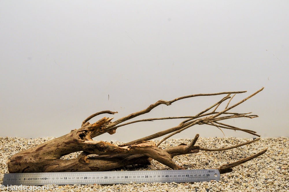 Talawa Wood 109 - Hardscape.nl