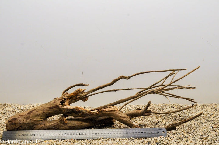 Talawa Wood 109 - Hardscape.nl