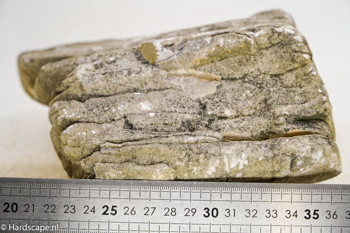 Elephant Skin Rock XL57 - Hardscape.nlExtra Large